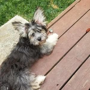 Meet your Posher, Stacie